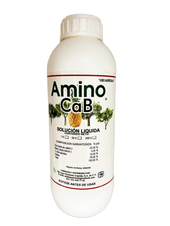 AMINOCAB